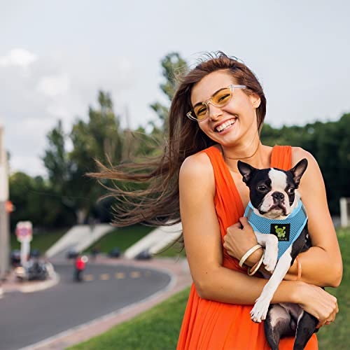 EcoBark Teacup Dog Harness, Soft Step in Vest for Puppy & Tiny Dogs - color: Sky Blue, size: XXXS- 2 to 3 lbs- Chest up to 10 in (Pack of 1)
