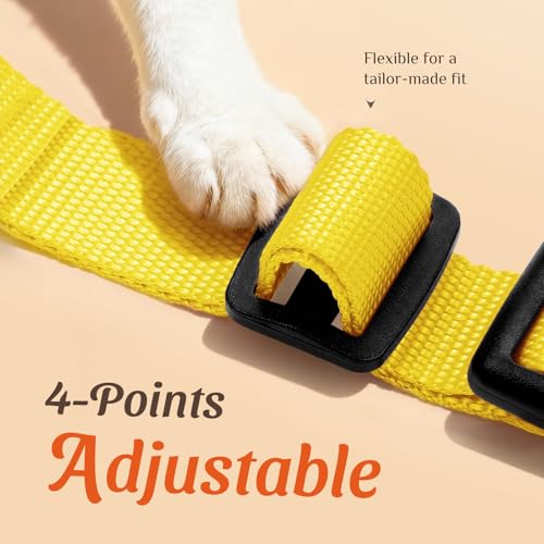 Dooradar Cat Harness and Leash Set, Adjustable and Escape Proof, XXS - color: Yellow, size: Xxs