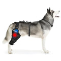 Dog Knee Brace L, Hind Leg Support with Hot & Cold Gel Pack - size: L