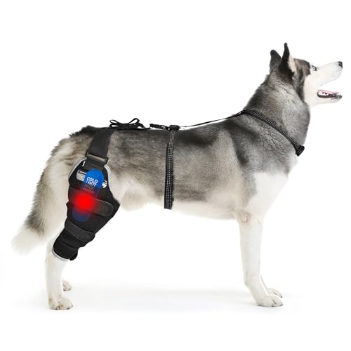 Dog Knee Brace L, Hind Leg Support with Hot & Cold Gel Pack - size: L