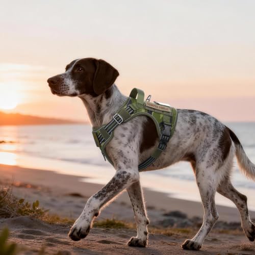 rabbitgoo Tactical Dog Harness Medium Sized, No Pull Service Pet Vest - color: Green Camo, size: M(chest:20.1"-33.9",neck:17.7"-22.3",back:7.5")