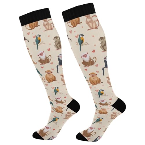 Wusikd Cute Penguin Compression Socks for Women and Men Circulation Long Socks for Athletic Running 1 - color: Multi 12