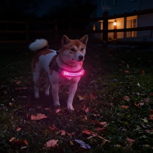 2 Pack LED Dog Leash Light, Hook & Loop for Leash Harness Collar - color: Blue + Pink