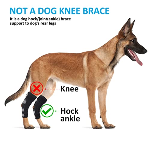 Dog Leg Braces for Back Legs,ACL Brace for Large Dogs Rear Legs, Joint Compression Warps Support for Hind Leg with Injury Sprain, Wound Care and Loss of Stability from Arthritis (1 Pair) - size: Large（1Pair）