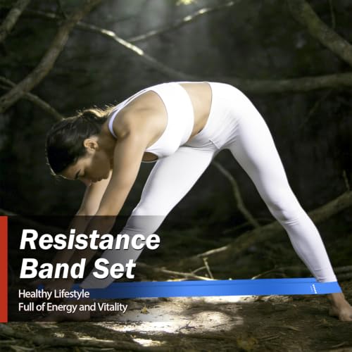 Resistance Bands for Working Out, 5 Levels Exercise Bands Set - color: Colorful