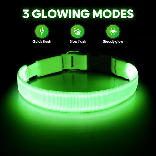 Illumifun LED Collar for Small Dogs, USB Rechargeable Light Up Dog Collar, Flashing Pet Safety Light Glow in the Dark (Green, Small) - color: Green, size: Small