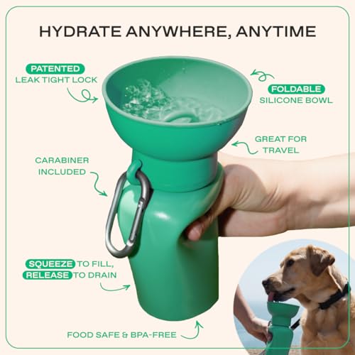 Springland 20oz Flip Portable Dog Water Bottle with Collapsible Bowl, Blue - color: Sky Blue, size: 20oz Flip