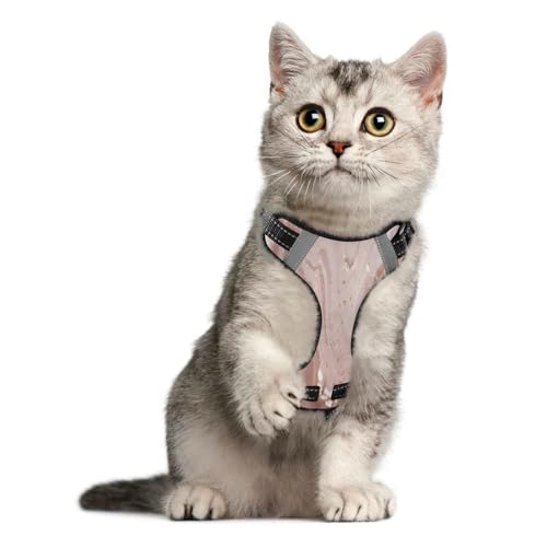 Rose Gold Abstract Marble Dog/Cat Harness, Reflective No-Pull Pet Harness with 2 Leash Clips, Fully Adjustable Soft Padded Dog Vest, No-Choke Pet Oxford Vest - color: Rose Gold Abstract Marble, size: S