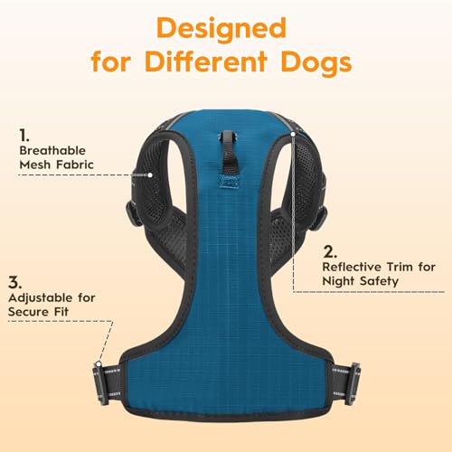 No Pull Dog Harness, No-Choke Soft Padded Reflective Dog Vest Harness with Front Clip & Top Handle, 2 Quick-Release Buckles, Adjustable for Small Medium Large Dogs - color: Blue, size: X-Small