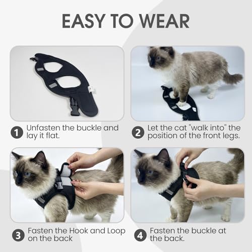 Heywean Cat Harness and Leash Escape Proof, Soft Breathable Mesh Kitty Walking Vest, Adjustable Step-in Kitten Harness Set with Reflective Strip for Small Cats - color: Black, size: Large