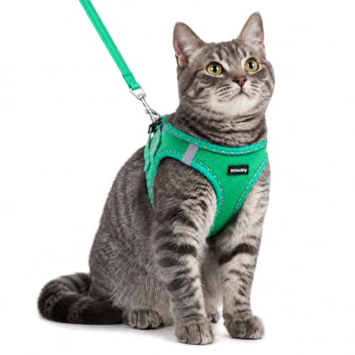 Rttochfy Cat Harness and Leash Set, Escape Proof Kitten Harness, Soft and Breathable Vest with Reflective Strip, Easy to Wear for Cats Walking and Traveling (Green, XXS) - color: Green, size: XXS (Chest:11"-12")