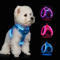 Light Up Dog Harness,Rechargeable LED Dog Harness for Small Medium Dogs - color: Blue, size: L