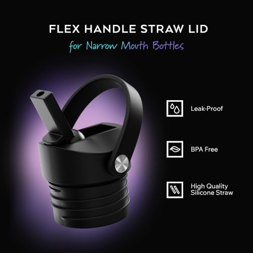 IRON °FLASK Carabiner Straw Lid for Narrow Mouth Water Bottles, 2 Pack