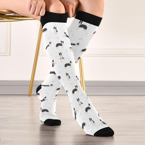 Compression Socks for Women & Men Knee High Socks - color: Border Collie Dog