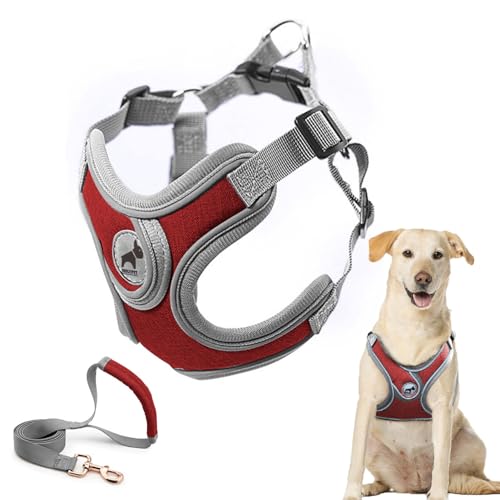 Dog Harness with Leash Set, No Pull Adjustable Step in Pet Vest - color: Red, size: L