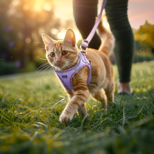 Rttochfy Cat Harness and Leash Set, Escape Proof Kitten Harness, Soft and Breathable Vest with Reflective Strip, Easy to Wear for Cats Walking and Traveling (Blue, XXS) - color: Blue, size: XXS (Chest:11"-12")
