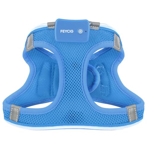 Light Up Dog Harness, Rechargeable LED Dog Harness for Small Medium Dogs - color: Sky Blue, size: XS