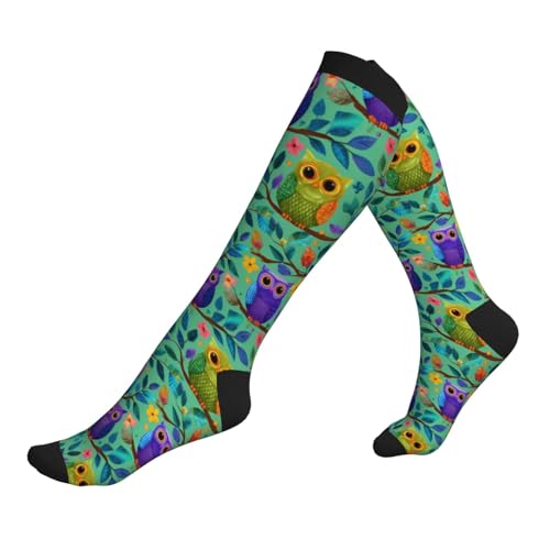 Compression Socks Circulation 15-20 Mmhg Knee High - color: Owls