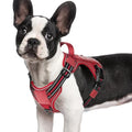 rabbitgoo Tactical Dog Harness for Small Dogs, No Pull Service Pet Vest - color: Red, size: S(Chest:16.1"-31.5",Neck:15.4"-21.6",Back:7.1")
