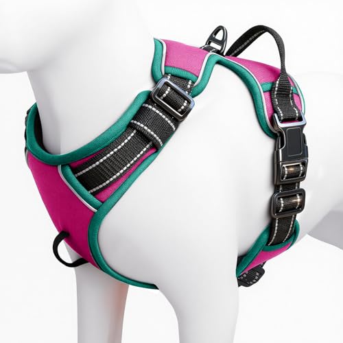 No Pull Dog Harness, No-Choke Soft Padded Reflective Dog Vest Harness with Front Clip & Top Handle, 2 Quick-Release Buckles, Adjustable for Small Medium Large Dogs - color: Pink/Turquoise, size: X-Small