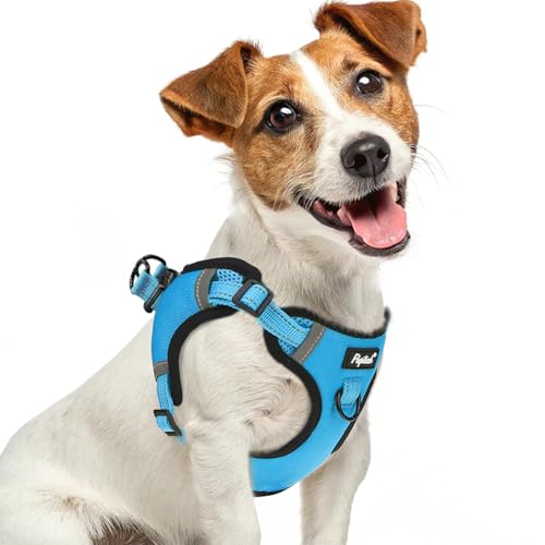 PUPTECK Dog Harness Small Sized Dog, Step in Adjustable Reflective Dog Vest Harness Escape Proof, No Pull Soft Padded Harness Easy Control, Blue, S - color: Blue, size: S (CHEST: 13"-18")
