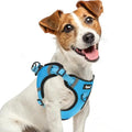 PUPTECK Dog Harness Small Sized Dog, Step in Adjustable Reflective Dog Vest Harness Escape Proof, No Pull Soft Padded Harness Easy Control, Blue, S - color: Blue, size: S (CHEST: 13"-18")