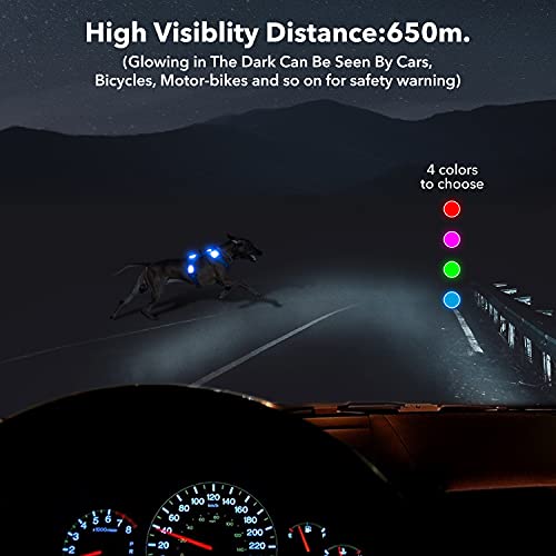 YFbrite Light Up Dog Harness - USB Rechargeable LED, Reflective, Comfortable Adjustable With Different Sizes (Blue, Small)