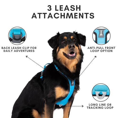 ShawnCo Basecamp Dog Harness, No-Pull Pet Vest (Midnight,S) - color: Midnight, size: S