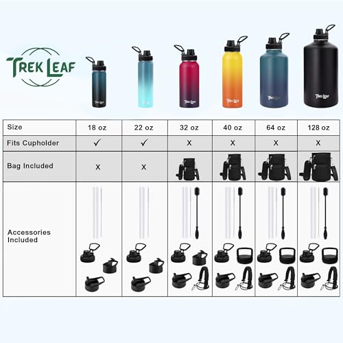 Travel Water Bottle with 3 Lids (Spout, Straw, Flip) Leak Proof, Quality, Vacuum Insulated, Stainless Steel (Cascade Shadow, 18 oz) - color: Cascade Shadow, size: 18 Ounces