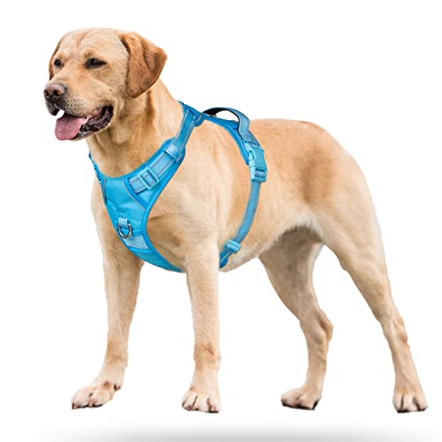 PoyPet No Pull Dog Harness, Reflective Vest with 2 Leash Clips & Handle - color: Blue(Matching Trim), size: S
