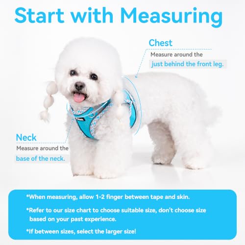 Petank Step in Dog Harness No Pull and Leash for Small Medium Dogs Cats. - color: Blue, size: XXXS