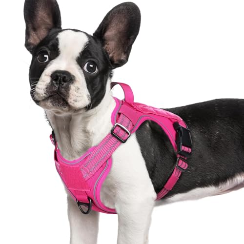 rabbitgoo Tactical Dog Harness for Small Dogs, No Pull Service Pet Vest - color: Rose Red, size: S(Chest:16.1"-31.5",Neck:15.4"-21.6",Back:7.1")