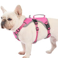 Huntboo Escape Proof Dog Harness, Dachshund Harness, Reflective Dog Harness with Handle, Durable,Adjustable Vest for Small Medium Large Dogs Walking, Training, and Running Gear (Rose red,M) - color: Rose red, size: Medium(Pack of 1)