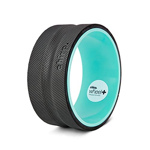 Chirp Wheel+ Foam Roller, Back & Neck Pain Relief, Mint 10-Inch - size: 10" - Medium