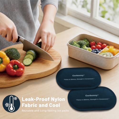 Cerbonny Slim Ice Packs for Lunch Boxes, Reusable, 2 Pack, Midnight Navy - color: Dark Blue