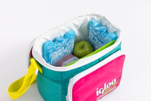 Igloo Maxcold Ice Block, 4 Pieces - color: 4pk small
