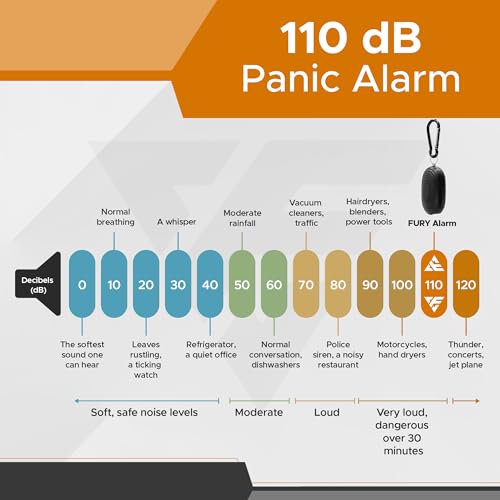 FURY Personal Safety Alarm for Women, 120DB, Black - color: Black