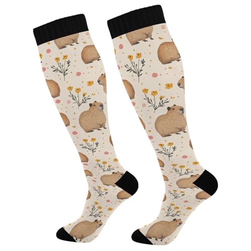 Wusikd Cats Compression Socks for Women and Men Circulation Cute Long Socks for Athletic Running 1 - color: Capybaras