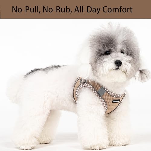 Petank Step in Dog Harness No Pull and Leash for Small Medium Dogs Cats. - color: Brown, size: XXS