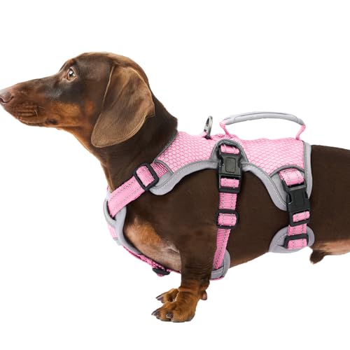 Huntboo Escape Proof Dog Harness, Dachshund Harness, Reflective Dog Harness with Handle, Durable,Adjustable Vest for Small Medium Large Dogs Walking, Training, and Running Gear (Pink,S) - color: Pink, size: Small(Pack of 1)