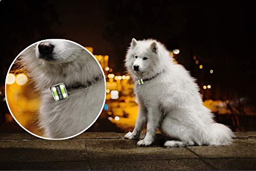 Clip-on LED Safety Light, Rechargeable, Powerful, Perfect for Walking, Jogging, Running, Working, Nursing, Camping at Night - with Four Light Modes (Reflective Green) - color: Reflective Green