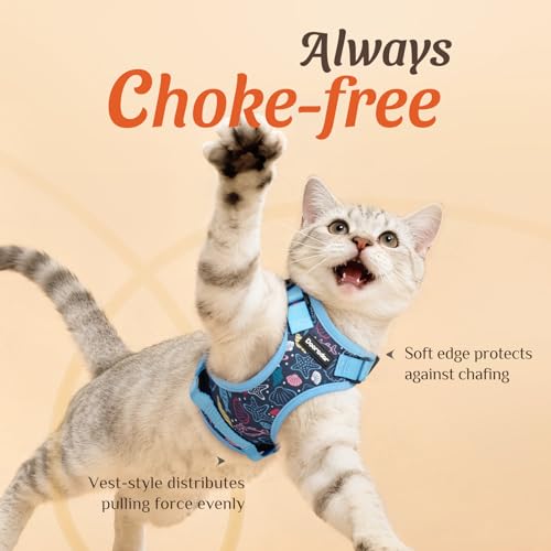 Dooradar Cat Harness and Leash Set, Adjustable and Escape Proof, XXS - color: Aqua Sea, size: Xxs