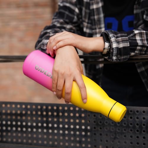 BJPKPK 17oz Skinny Insulated Water Bottle, Stainless Steel Flask - color: Sky, size: 17 Ounces