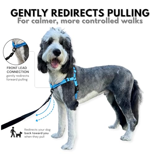 ShawnCo Dream Walk Pro No-Pull Dog Harness (Oceanic Blue, Small) - color: Oceanic Blue, size: Small