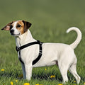 Dog Harness No Pull Outdoor Pet Harness Thickened Adjustable Chest Vest Escape Proof Heavy Duty Walking Dog Harness Reflective Control Hiking - color: Black, size: Medium