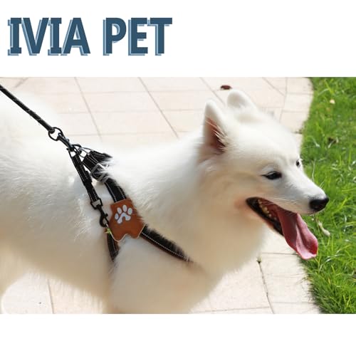 Adjustable Dog Collar Safety Backup Clip,Black - color: Black, size: M(7.2~8.7 in adjustable length x 0.6 in width)