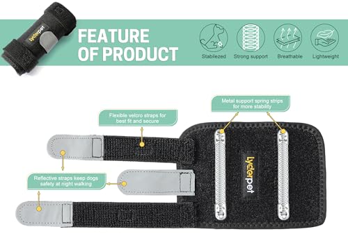 Dog Brace Front Leg Wrist Support, Canine Dog Carpal Brace Splint, Prevents Injuries and Sprains, Protects Carpus Joint Wounds Heals, Helps with Loss of Stability Caused by Arthritis - size: L/XL (Pair)