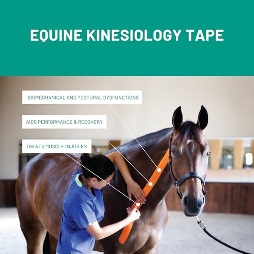 Canine & Equine Kinesiology Tape, Intro Offer 3 Size Tapes