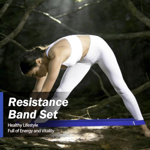 Resistance Bands for Working Out, 5 Levels Exercise Bands Set - color: Blue