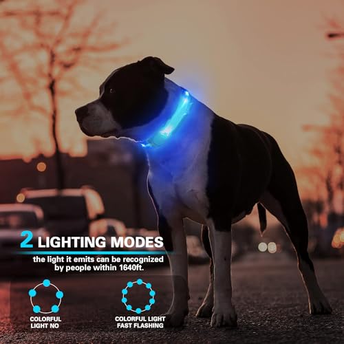 LED Dog Leash Light, Waterproof Bright Dog Safety Light for Night Walking - color: Green+Blue